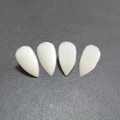 Vampire and werewolf fangs for Halloween