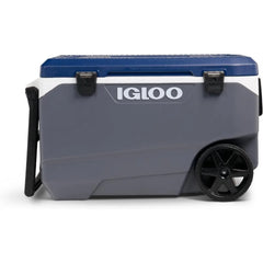Maxcold Insulated Portable Cooler