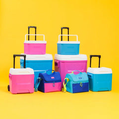 9QT Ice Chest Cooler with Handle